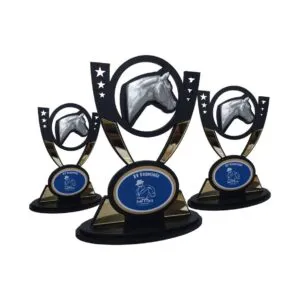 Troféu de Vaquejada - 06